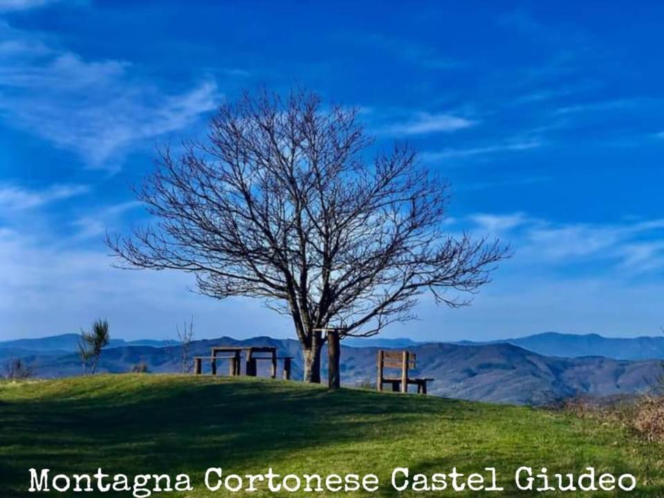 Tenuta La Scure La Cappella Cortona Exterior foto